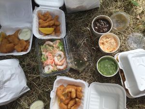 from left: calamari strips, prawn cocktail, scampi, gravy, mushy peas, slaw and some tartar sauce  at Sutton and Sons - Graham Rd in North London