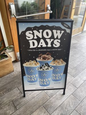 new ice cream choices   at Plant Power Fast Food - SDSU in San Diego