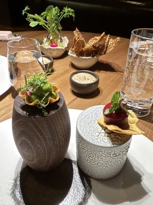 Starters   at Moss in Grindavik