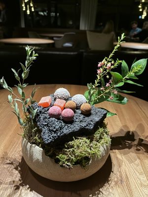   at Moss in Grindavik