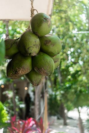  at Los Bowls de Guadalupe  in Tulum