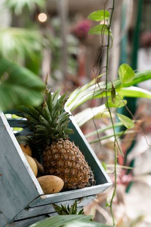 at Los Bowls de Guadalupe  in Tulum