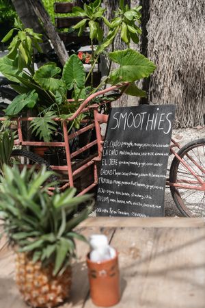  at Los Bowls de Guadalupe  in Tulum