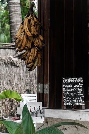  at Los Bowls de Guadalupe  in Tulum