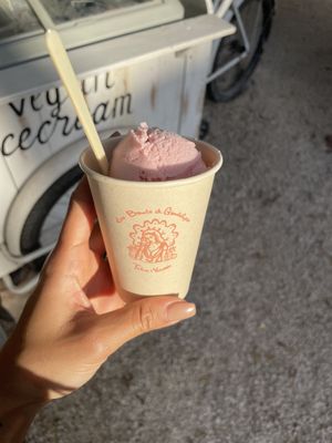Strawberry Hemp Icecream  at Los Bowls de Guadalupe  in Tulum