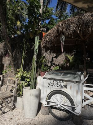   at Los Bowls de Guadalupe  in Tulum