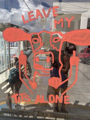 Window art  at El Bajón Vegano in Tulum