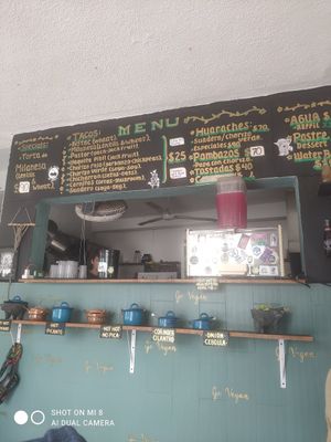 . at El Bajón Vegano in Tulum