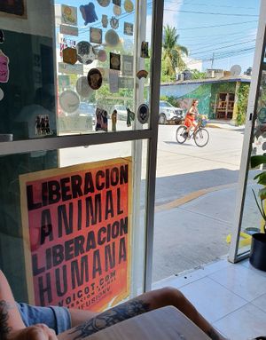  at El Bajón Vegano in Tulum