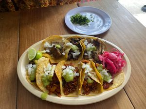  at El Bajón Vegano in Tulum