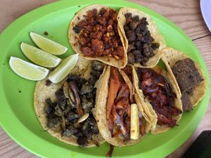   at El Bajón Vegano in Tulum