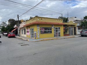   at El Bajón Vegano in Tulum