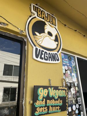 Amé el lugar  at El Bajón Vegano in Tulum