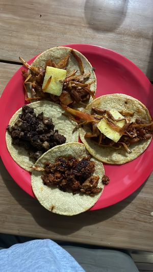   at El Bajón Vegano in Tulum