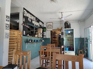 Vibes at El Bajón Vegano in Tulum