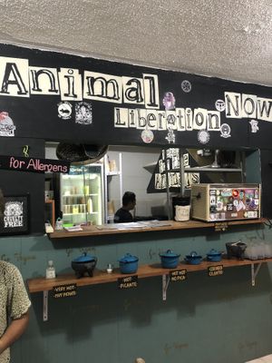 Kitchen and counter at El Bajón Vegano in Tulum