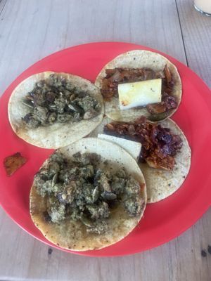 Vegan tacos pre toppings  at El Bajón Vegano in Tulum