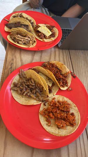   at El Bajón Vegano in Tulum