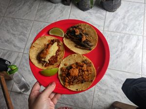  at El Bajón Vegano in Tulum