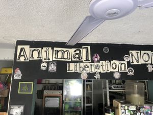   at El Bajón Vegano in Tulum