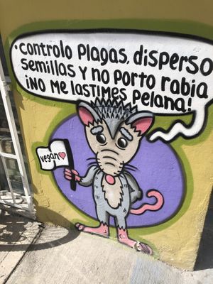   at El Bajón Vegano in Tulum