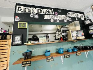 Counter area  at El Bajón Vegano in Tulum