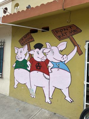   at El Bajón Vegano in Tulum