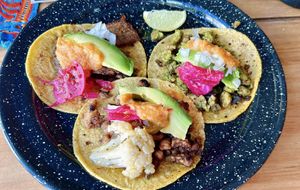 mixed vegan tacos  at El Bajón Vegano in Tulum
