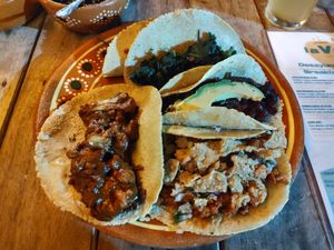  at El Bajón Vegano in Tulum