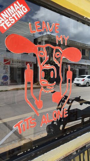  at El Bajón Vegano in Tulum