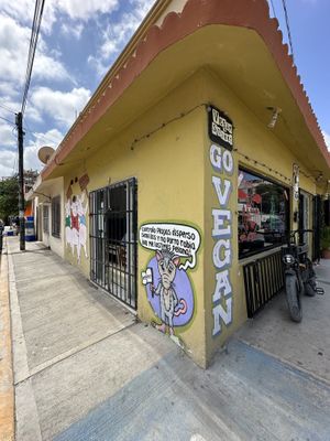   at El Bajón Vegano in Tulum
