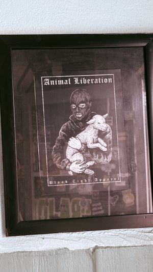   at El Bajón Vegano in Tulum