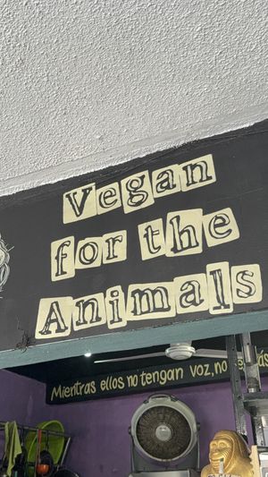   at El Bajón Vegano in Tulum