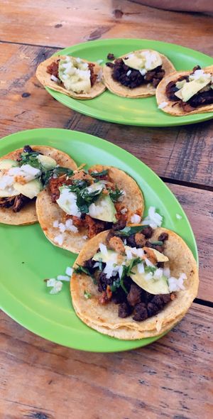 Absolutely delicious assortment of tacos! at El Bajón Vegano in Tulum