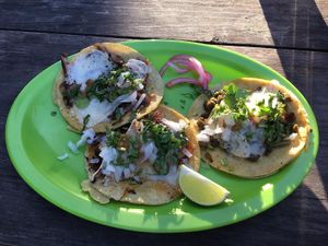 Vegan taco’s!  at El Bajón Vegano in Tulum