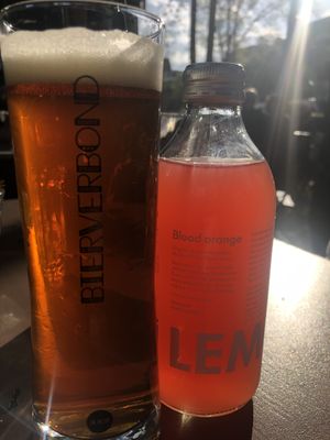 Drink at SunLight Lounge in Amsterdam