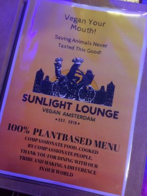 100% plantbased menu at SunLight Lounge in Amsterdam