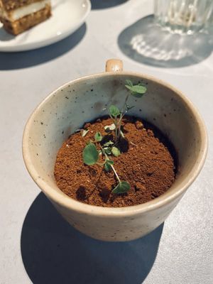 Rozey’s Garden chocolate mousse at Rozey in Rotterdam