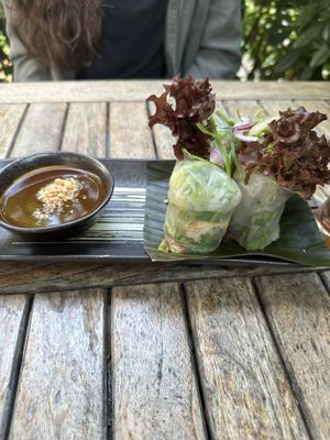 Summer rolls with tofu  at BANÔI in Freiburg