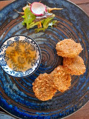 Zucchini fritters at Lotus Thai in Launceston