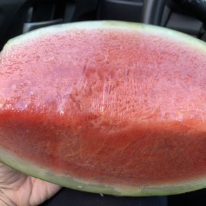 Watermelon - a summer delight! at Bloomingfoods Market and Deli - West Side in Bloomington