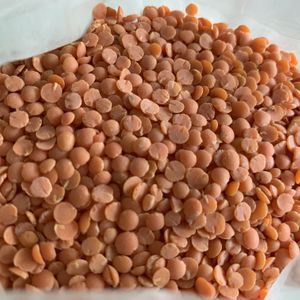 Red lentils! Beautiful and so good for us... at Bloomingfoods Market and Deli - West Side in Bloomington