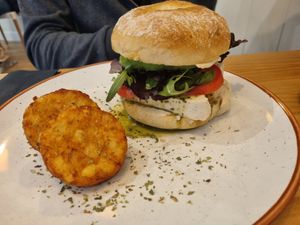 Bagel houmous at Caledonia Coffee in Salamanca