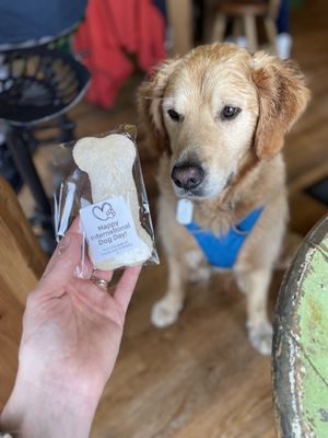   at Stacks Coffee House and Bistro in Wick