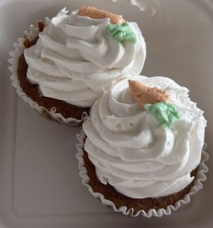 Carrot Cupcake  at Daily Veg in Wilmington