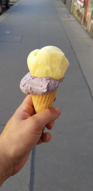  at Veganista Ice Cream VIII in Vienna