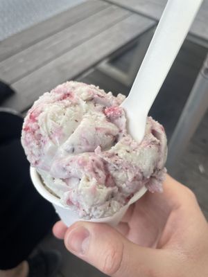   at Veganista Ice Cream VIII in Vienna