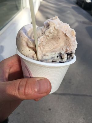 Vanille mit Zwetschge und Cookie: € 4,00 at Veganista Ice Cream VIII in Vienna