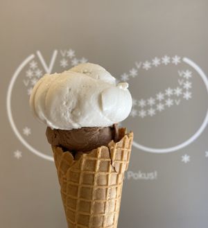 Chocolate and coconut 🥥  at Veganista Ice Cream VIII in Vienna