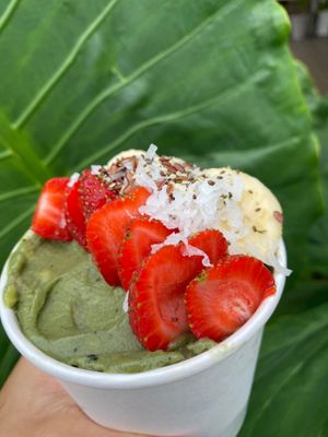  at Juicylab in Bocas Del Toro